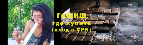 сатива Волоколамск
