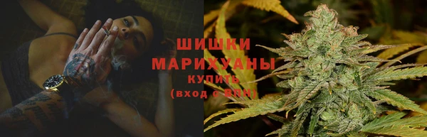 сатива Волоколамск