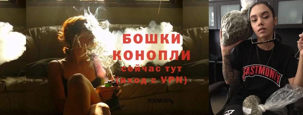сатива Волоколамск