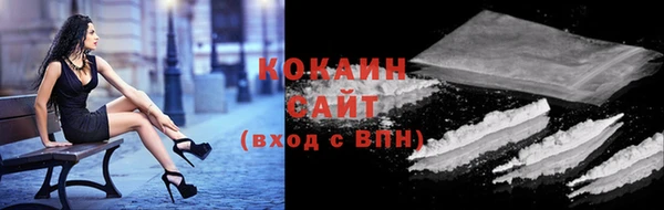 сатива Волоколамск
