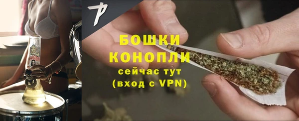 сатива Волоколамск
