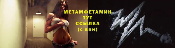 сатива Волоколамск