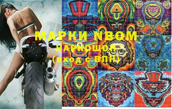 сатива Волоколамск