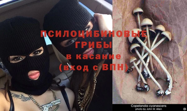 твердый Волосово