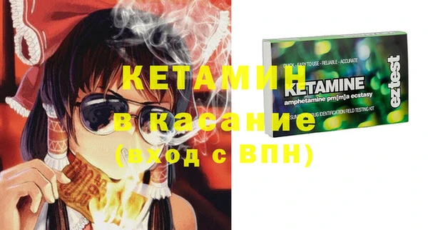 сатива Волоколамск