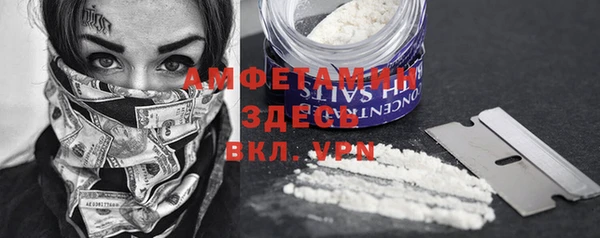 spice Володарск