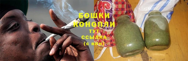 сатива Волоколамск